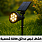 كشافات غرس طاقة شمسية