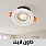 داون لايت