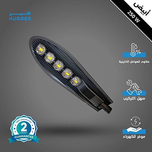 كشاف خارجي لون الانارة ابيض مع خلية حساس ضوء 5 عدسات 250 واط