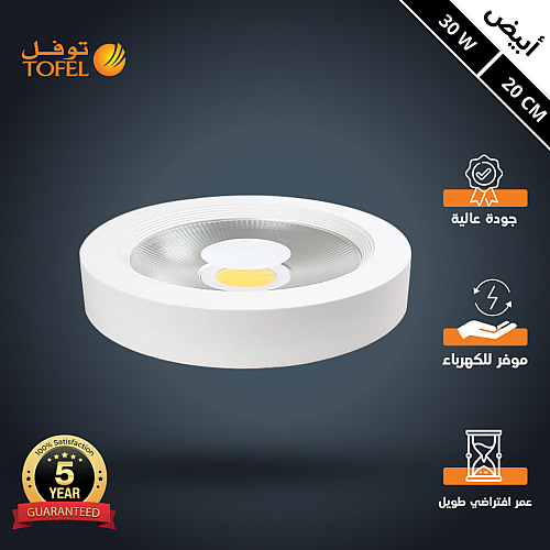 كشاف لطش COB لون الانارة ابيض 20 سم 30 واط توفل