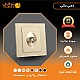 فيش منفذ دش مفرد لون ذهبي ملكي توفل فيش منفذ دش مفرد لون ذهبي ملكي توفل