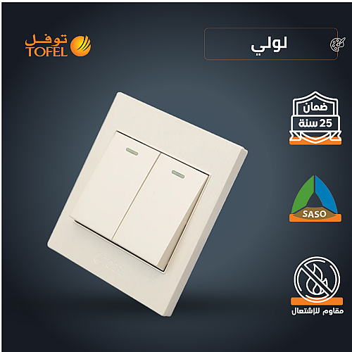 مفتاح ثنائي دركسون 4 مسمار لولي توفل