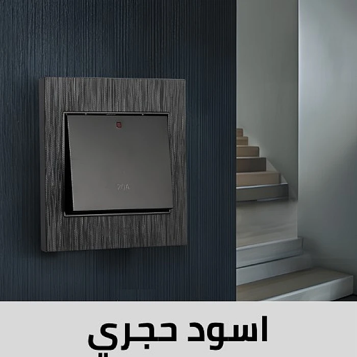 اسود حجري