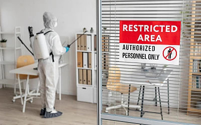 كيف تمنع دخول الحشرات من النوافذ والأبواب بطرق ذكية وفعالة؟ | دليلك للوقاية المنزلي