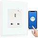 فيش جداري 13 امبير ذكي تحكم عن بعد WiFi سهل الاستخدام يعمل باللمس تحكم بالجوال متوافق مع اليكسا وجوجل هوم توفل