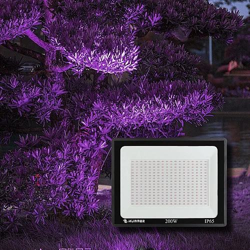 كشاف خارجي لون الانارة بنفسجي 200 واط