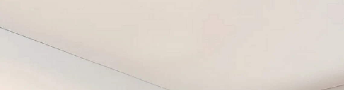 كشافات لطش سقف