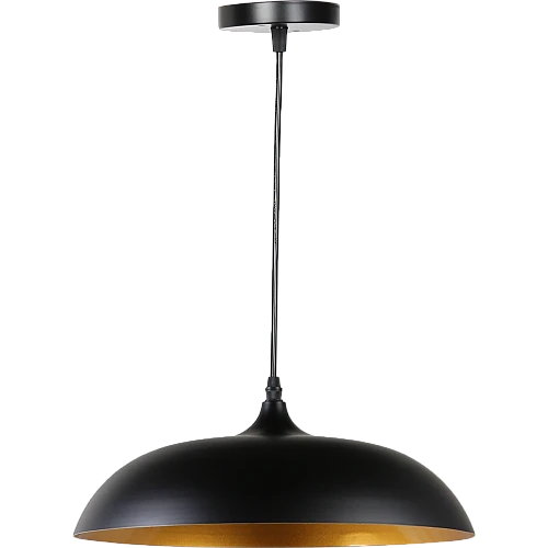 علاقي مودرن اسود مع ذهبي E27*1L مقاس 450 ملم علاقي مودرن اسود مع ذهبي E27*1L مقاس 450 ملم