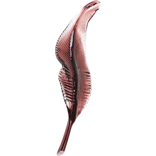 ريشة كريستال لون موف (عبوة 1 حبة)