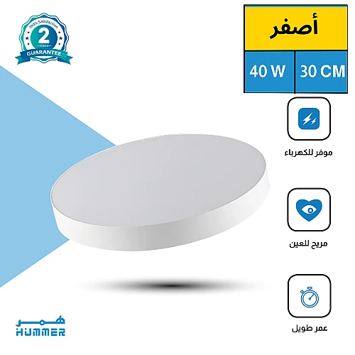 لطش ظاهر لون الانارة اصفر 40 واط 30 سم