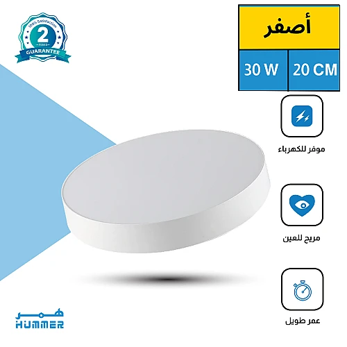 لطش ظاهر لون الانارة اصفر 30 واط 20 سم