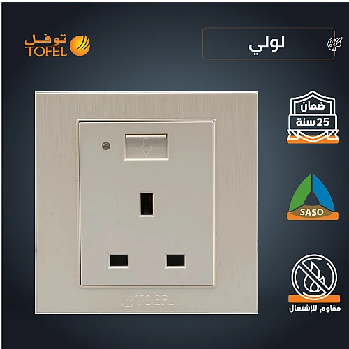 فيش ثلاثي مع منفذ يو اس بي USB لون لولي فاخر توفل
