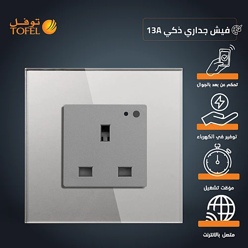 فيش جداري 13 امبير جرافيتي ذكي تحكم عن بعد WiFi سهل الاستخدام يعمل باللمس تحكم بالجوال متوافق مع اليكسا وجوجل هوم توفل فيش جداري 13 امبير جرافيتي ذكي تحكم عن بعد WiFi سهل الاستخدام يعمل باللمس تحكم بالجوال متوافق مع اليكسا وجوجل هوم توفل