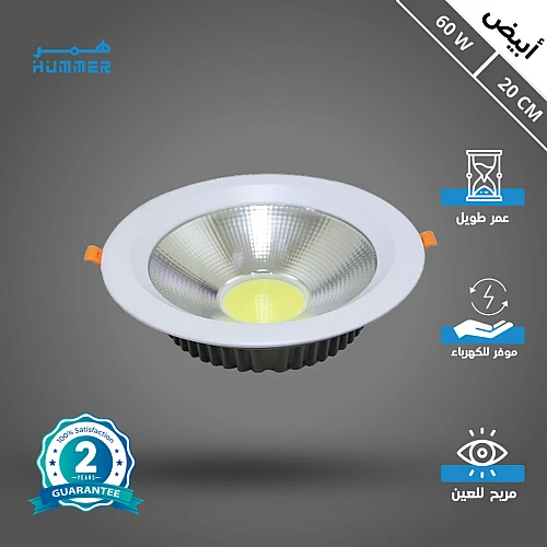 كشاف دفن لون الانارة ابيض 20 سم 60 واط