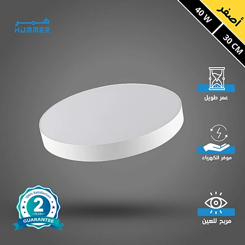 لطش ظاهر لون الانارة اصفر 40 واط 30 سم