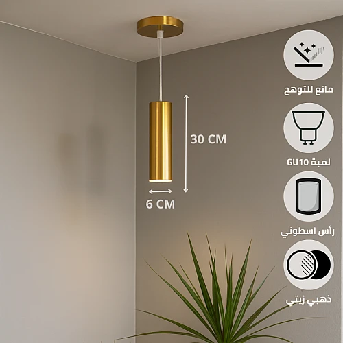 علاقي سلندر ذهبي زيتي مودرن 30 سم - لمبة GU10 - ارتفاع 2M