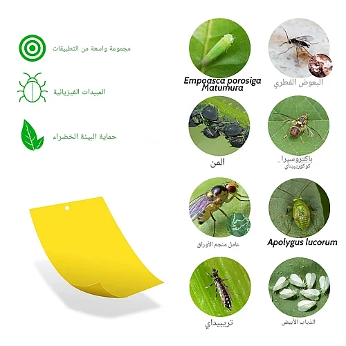 ورق لاصق مصيدة الحشرات (ناموسية) عدد 1